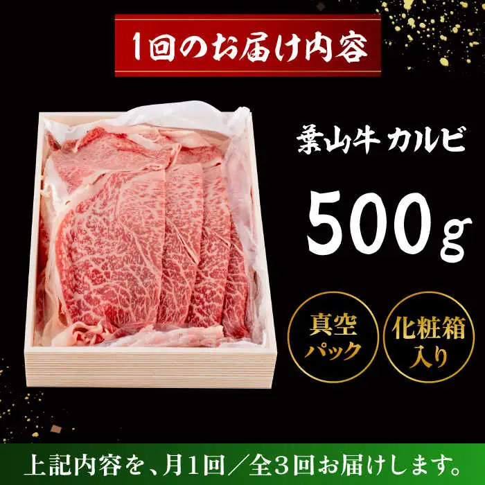 【全3回定期便】 葉山牛 カルビ500g／ カルビ[ASAP038]