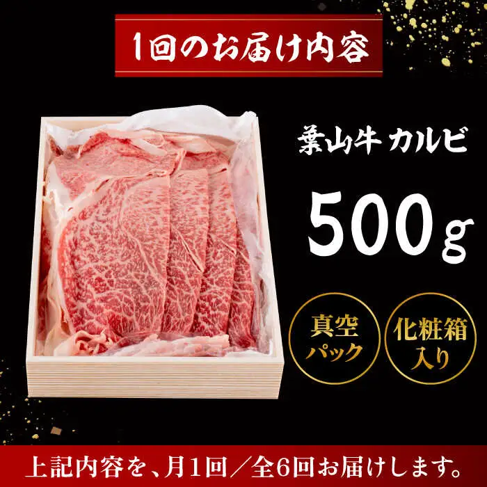 【全6回定期便】 葉山牛 カルビ500g／ カルビ[ASAP039]
