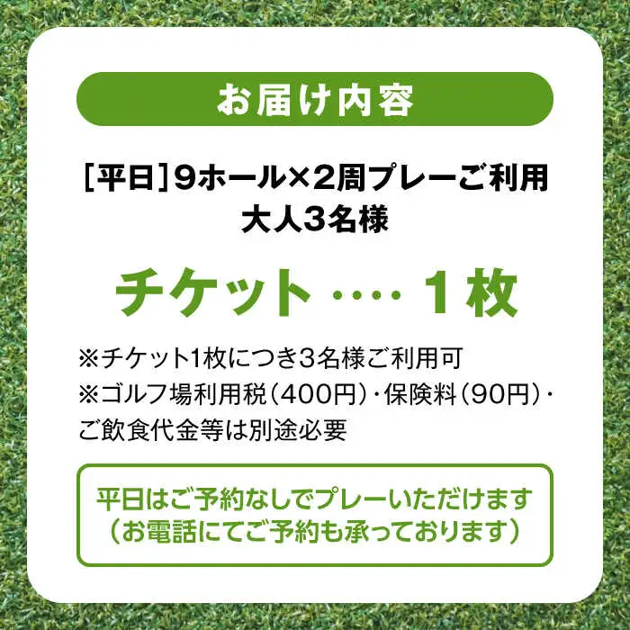 平日大人３名様９ホール２周ゴルフプレー券 ／ ゴルフ 【(株)葉山産業】 高額 [ASAS005]