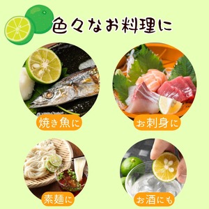 【2026年8月中旬発送】すだち 1kg 露地栽培 徳島県 小松島産 スダチ すだち果汁 焼き魚 しいたけ お酒 柑橘 酢 旬