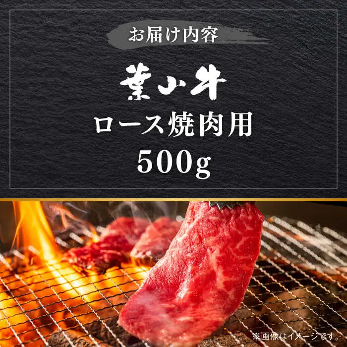 葉山牛 500g　ロース焼肉用／ 焼肉 焼き肉[ASBD004]