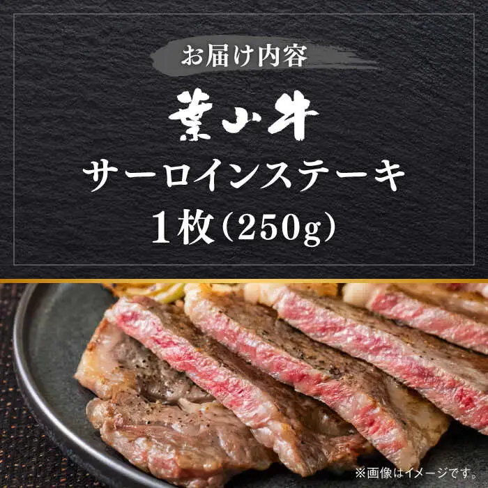 葉山牛 サーロインステーキ 250g×1枚 サーロイン [ASBD016]