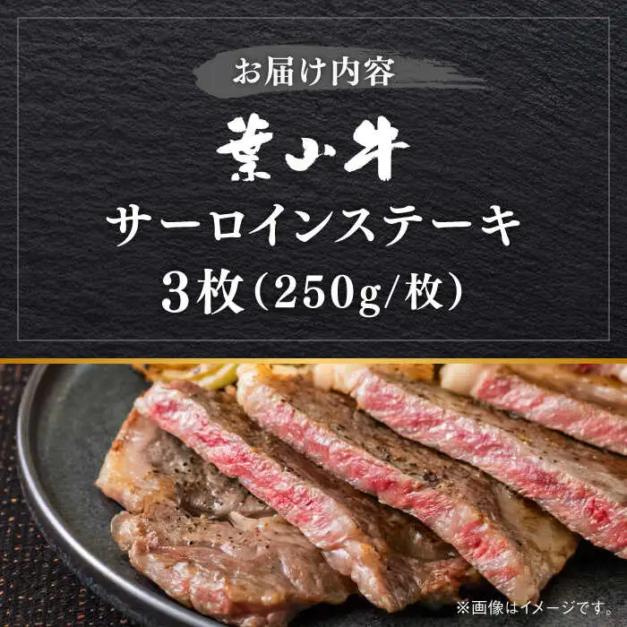 葉山牛サーロインステーキ  750g [ASBD017]