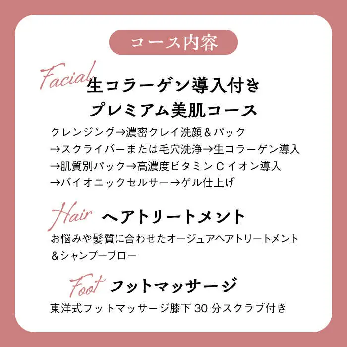 エステ トータルビューティコース フェイシャル ヘア エステ  高額 [ASBN003]