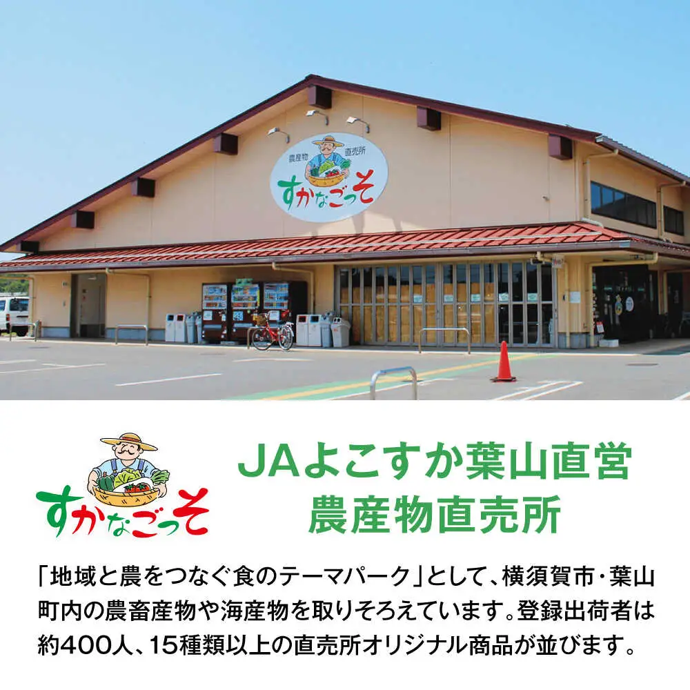 よこすか野菜セット すかなボックス／野菜 [ASCB001]