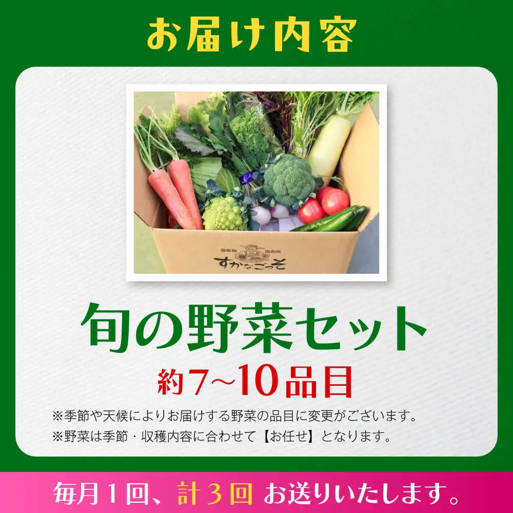 【全3回定期便】よこすか野菜セット すかなボックス／野菜 旬 セット  【JAよこすか葉山】[ASCB002]
