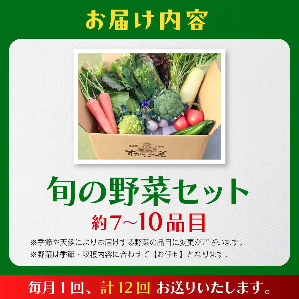 【全12回定期便】よこすか野菜セット すかなボックス／野菜 旬 セット  【JAよこすか葉山】[ASCB004]