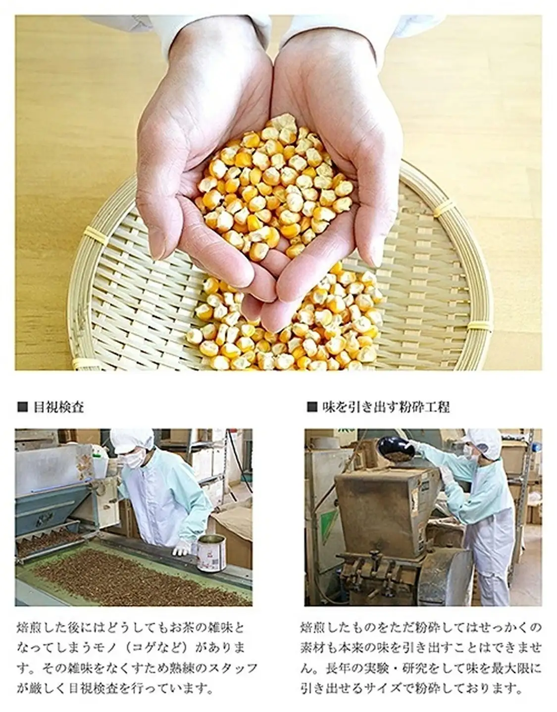 有機栽培 コーン茶 純国産 健康茶：A095-017