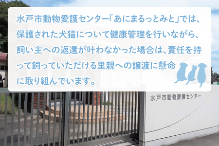 【返礼品なし】水戸市 動物愛護寄附金 Animal Welfare Donations『人と動物がしあわせに暮らせるまちづくり Creating a city where people and animals can live happily together』1000000円(LW-15)
