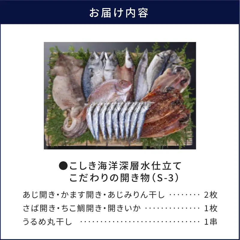 こしき海洋深層水仕立て こだわりの開き物 S-3 K065-007_03 魚 冷凍