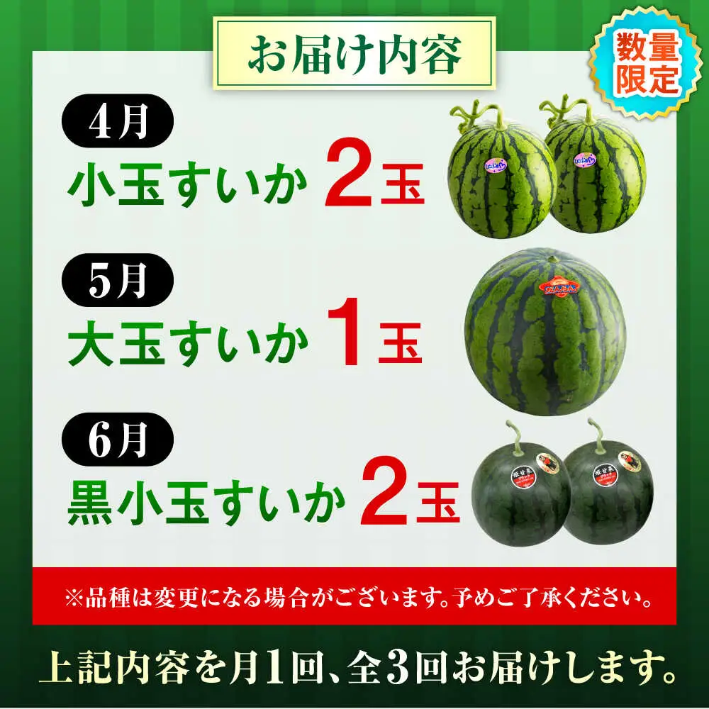 【先行予約】【2027年4月上旬より順次発送】【全3回定期便】すいか 3種 食べ比べ セット 定期便 計5玉（小玉2 大玉1 黒小玉2） スイカ[AYAB030]
