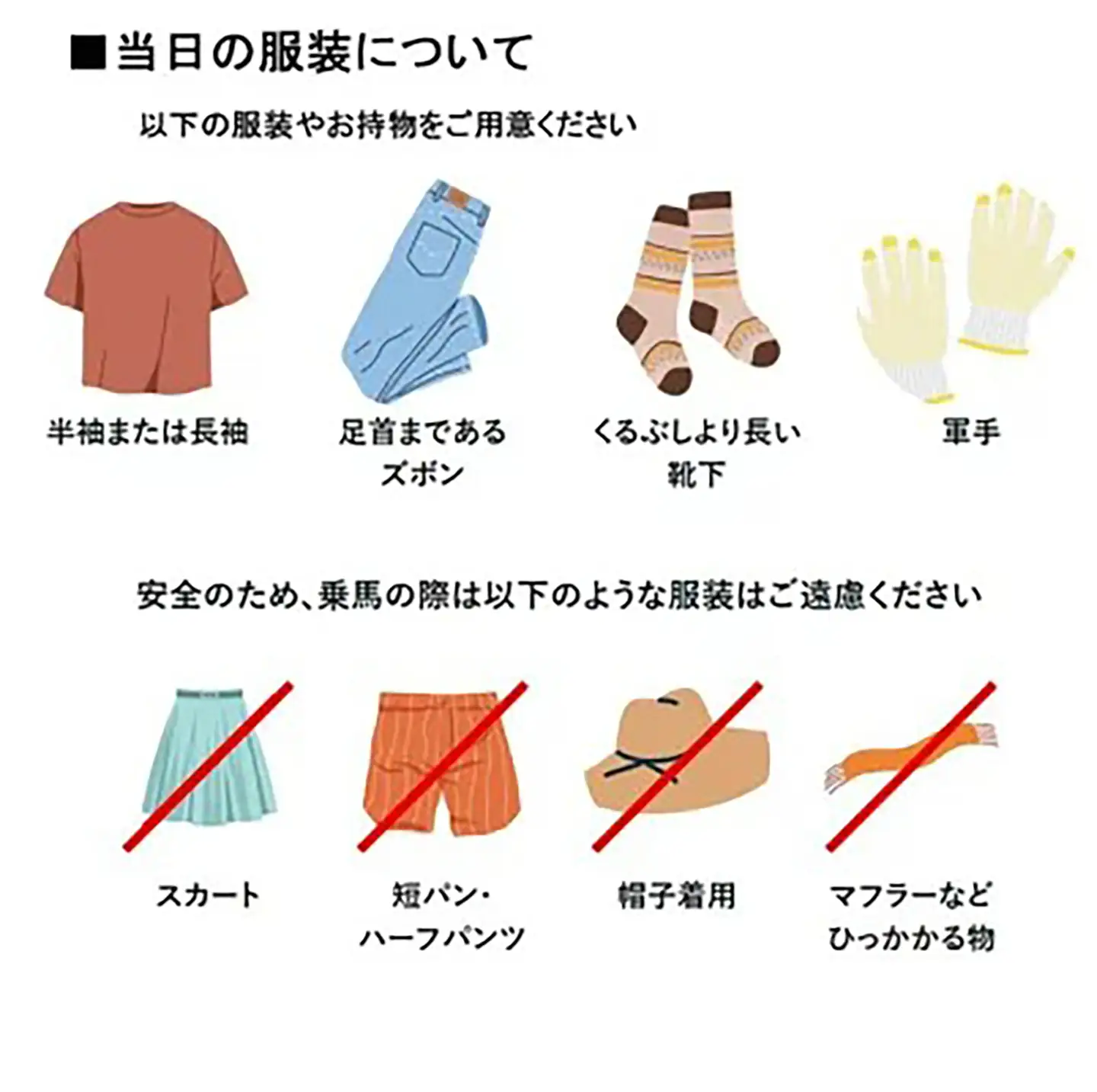 乗馬クラブクレイン茨城 45分しっかり 乗馬体験チケット