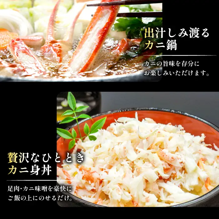 【活き】タグ付き松葉ガニ　中　2枚【松葉ガニ 松葉がに 松葉蟹 まつばがに かに カニ 冷蔵 チルド ブランド ズワイガニ 活き お祝い 冬 国産 季節限定 お取り寄せ 鳥取県 日吉津村 日本海】