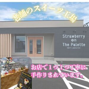 しぼりたて生乳で作った濃厚ミルクジェラート（2000ml×2個） ジェラート シャーべット アイスクリーム アイス 生乳 ミルク ジェラート 大容量 クリーミー デザート 氷菓子 スイーツ 濃厚 冷凍 パーティー 佐賀県 太良町 P117