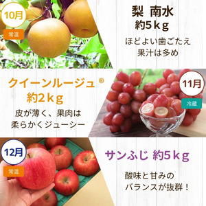飯田市 定期便【決定版】| フルーツ 果物 お菓子 スイーツ 肉 焼肉 干し柿 市田柿 野菜 とうもろこし 桃 梨 りんご シャインマスカット 信州 詰め合わせ セット 定期 長野県 飯田市