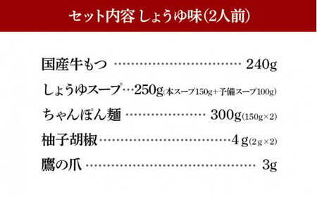 【定期便3ヶ月】博多もつ鍋おおやま しょうゆ味2人前 CQ016