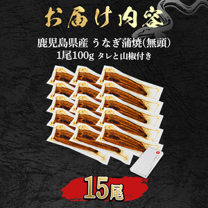 ＜食べきりサイズ！＞東串良町のうなぎ蒲焼(無頭)(15尾・計1500g・タレ、山椒付) うなぎ 高級 ウナギ 鰻 国産 蒲焼 蒲焼き たれ 鹿児島 ふるさと 人気 【アクアおおすみ】【0554327a】