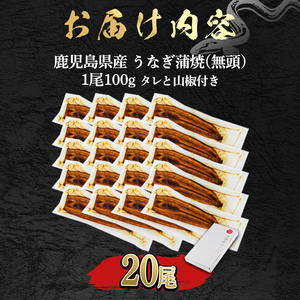 ＜食べきりサイズ！＞東串良町のうなぎ蒲焼(無頭)(20尾・計2000g・タレ、山椒付) うなぎ 高級 ウナギ 鰻 国産 蒲焼 蒲焼き たれ 鹿児島 ふるさと 人気 【アクアおおすみ】【0734328a】