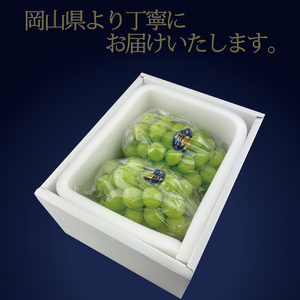 ぶどう 2026年 先行予約 9月・10月発送 高級品 シャインマスカット 晴王 2房 約1.2kg  岡山県産 シャインマスカット