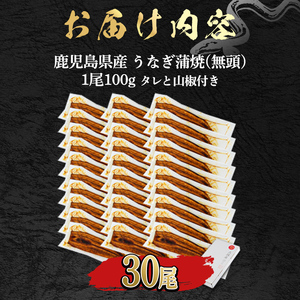 ＜食べきりサイズ！＞東串良町のうなぎ蒲焼(無頭)(30尾・計3000g・タレ、山椒付) うなぎ 高級 ウナギ 鰻 国産 蒲焼 蒲焼き たれ 鹿児島 ふるさと 人気 【アクアおおすみ】【1084329a】