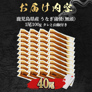 ＜食べきりサイズ！＞東串良町のうなぎ蒲焼(無頭)(40尾・計4000g・タレ、山椒付) うなぎ 高級 ウナギ 鰻 国産 蒲焼 蒲焼き たれ 鹿児島 ふるさと 人気 【アクアおおすみ】【1434330a】