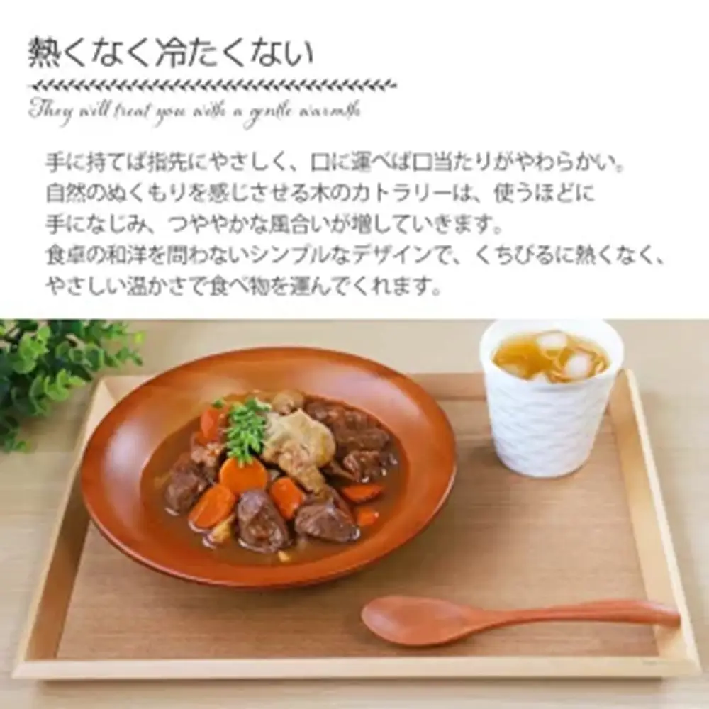 みよし漆器本舗 マルチスプーン 食洗機対応 17cm 5本セット 木製 紀州PROコート 漆塗り