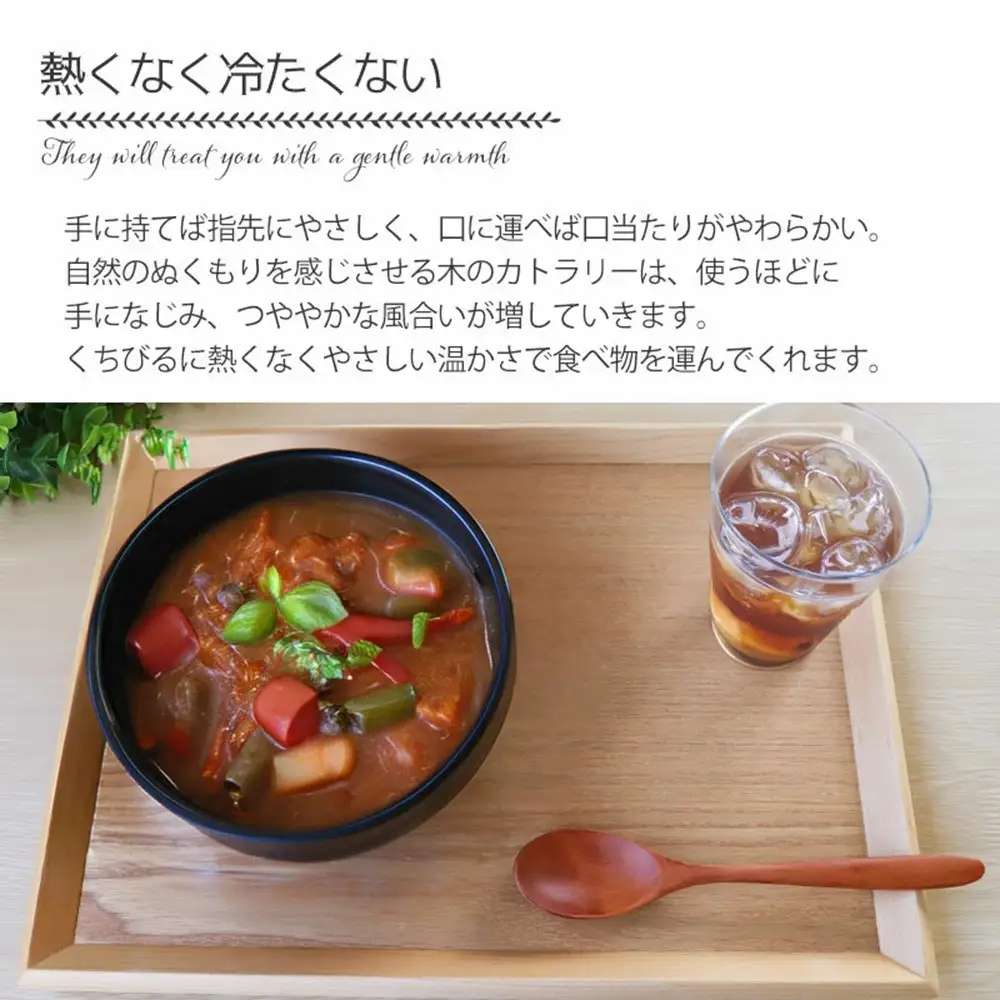 みよし漆器本舗 天然木製 カレースプーン 食洗機対応 18cm 5本セット 木製 紀州PROコート 白木
