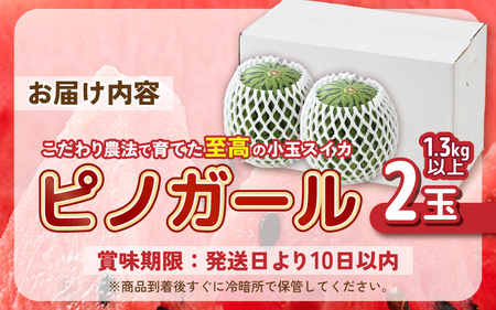 安心安全！減農薬！こだわり農法で育てた至高のピノガール (小玉スイカ) 2玉 (1玉あたり：1.3kg以上) 【2027年7月中旬以降順次発送予定】 [A-21215]