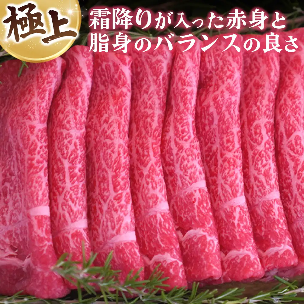 佐賀牛 すきやき用800g・柔らかハンバーグ4個(H122111)
