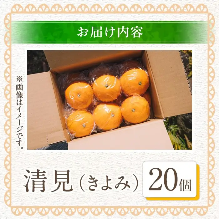 ＜先行予約受付中！2027年3月中旬以降順次発送予定＞数量限定！鹿児島県産 清見 (20個・2L) 柑橘 フルーツ 果物 国産 みかん 期間限定 きよみ キヨミ ミカン【株式会社土曜日】akn069-09
