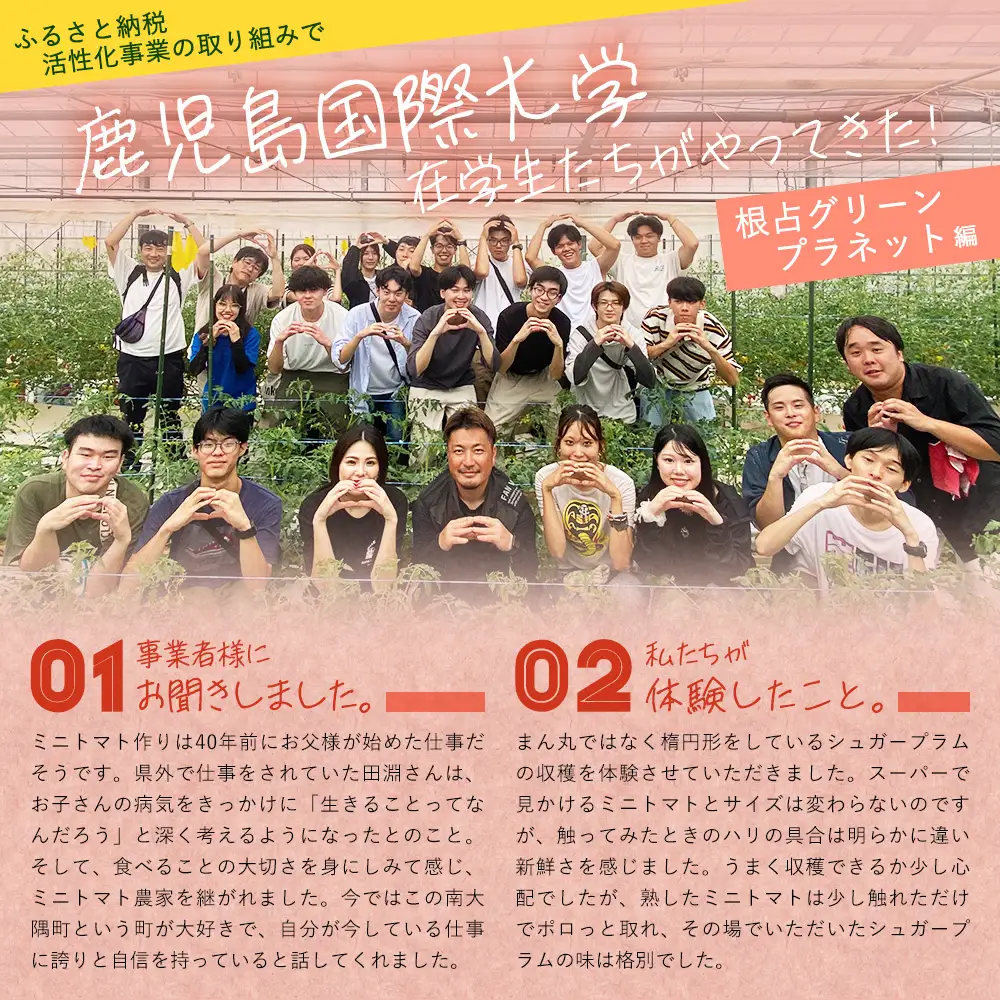 【先行予約・2026年10月より順次発送】田淵さんちの美味しい ミニトマト シュガープラム（約700g）GP-1｜産地直送 旬 とまと トマト ミニトマト リコピン 完熟 甘い 高糖度 野菜 やさい 送料無料 期間限定 鹿児島県 南大隅町 根占グリーンプラネット