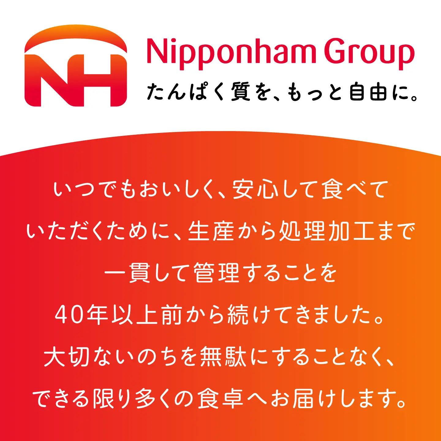 桜姫 鶏もも 計4kg（2kg×2パック） 【東日本フード株式会社】トリ モモ 照り焼き 唐揚げ 銘柄 ブランド冷凍 国産 北海道  [AXBM029]