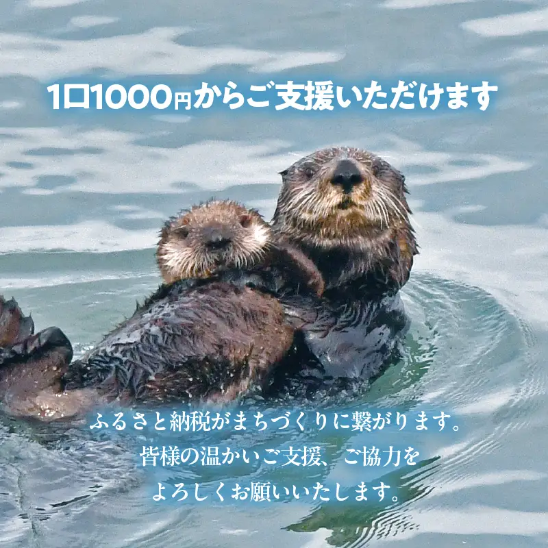 ラッコを見守る岬「きりたっぷ岬」周辺の環境整備　10000円分 返礼品なし_H0028-012