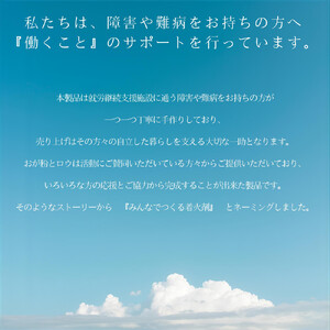 みんなでつくる着火剤 （３本入り）２０袋