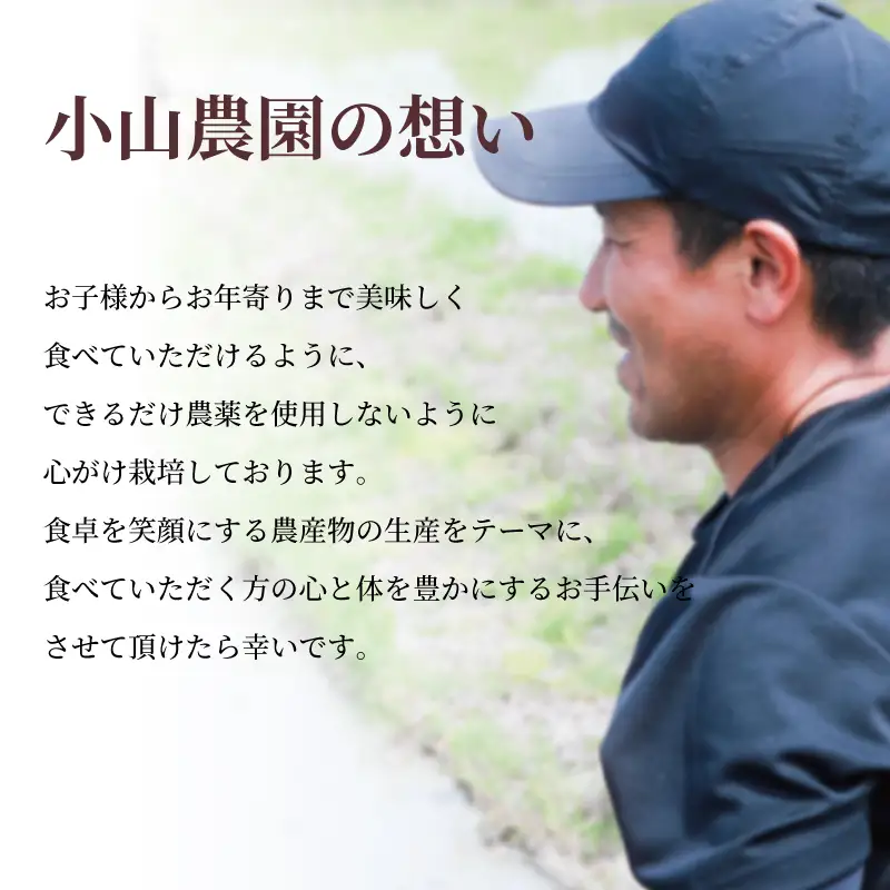 令和7年産 ヒノヒカリ 5kg 白米 宇治 ごはん 白米 お米 米 コメ こめ はくまい 宇治 ごはん ひのひかり 一等品 京都府産 京都 京都府 ふるさと納税米 数量限定