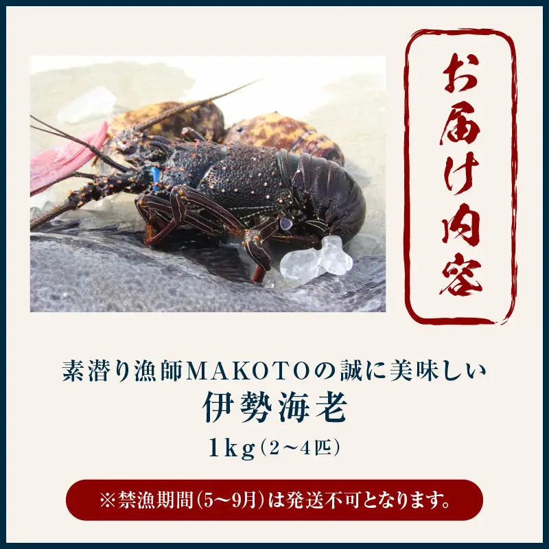 素潜り漁師 MAKOTO の誠に 美味しい 伊勢海老 1kg（ 2～4匹 ） C074-001 魚介類 冷凍 海老 エビ イセエビ