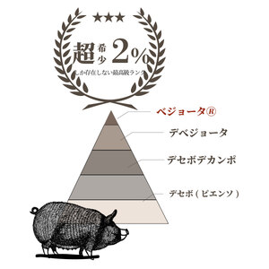 イベリコ豚入りソーセージ 3kg(500g x 6p) 小分けソーセージ  [AU102]