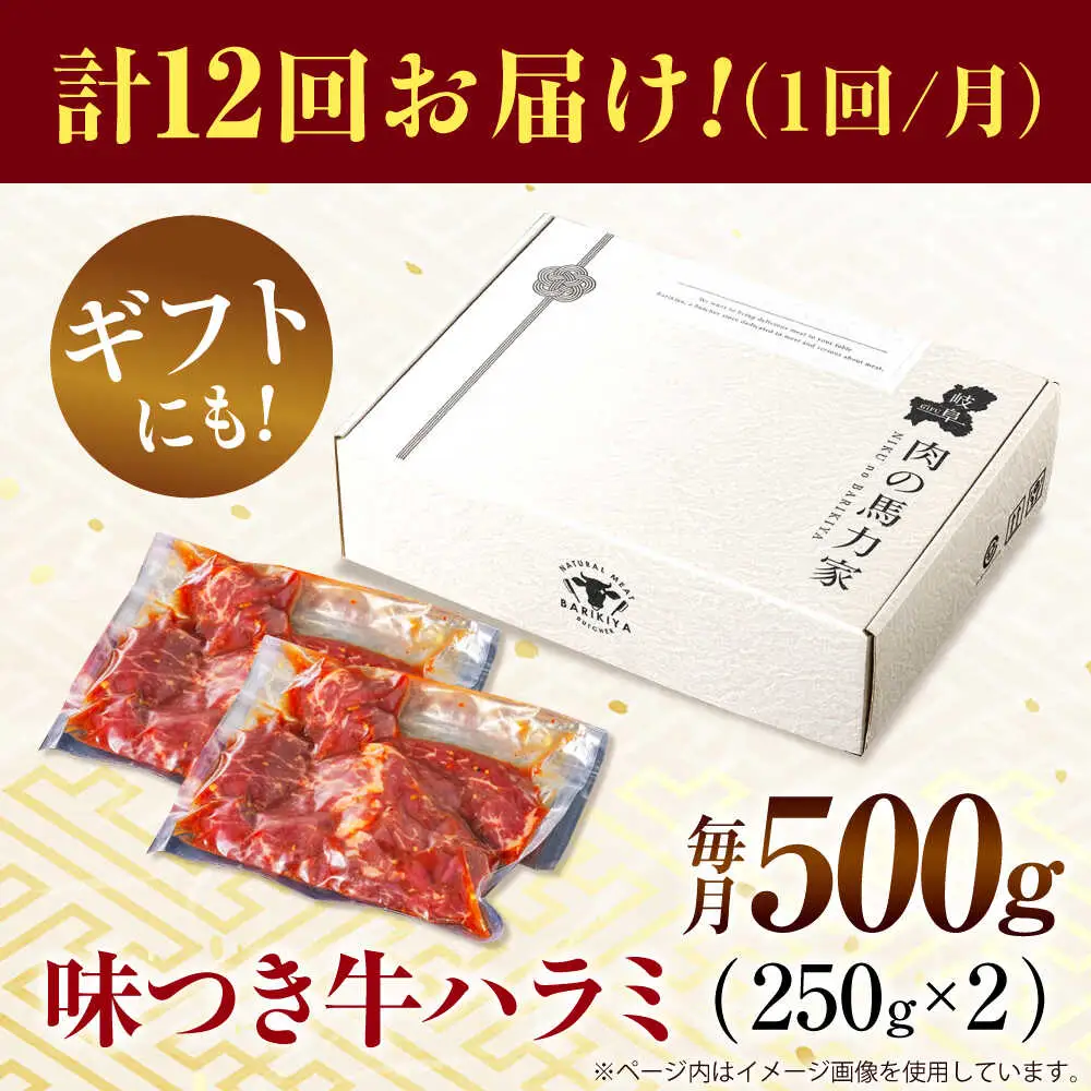 【12回定期便】【訳あり】味付けハラミ 500ｇ(250ｇ×2パック) [AVBO041]