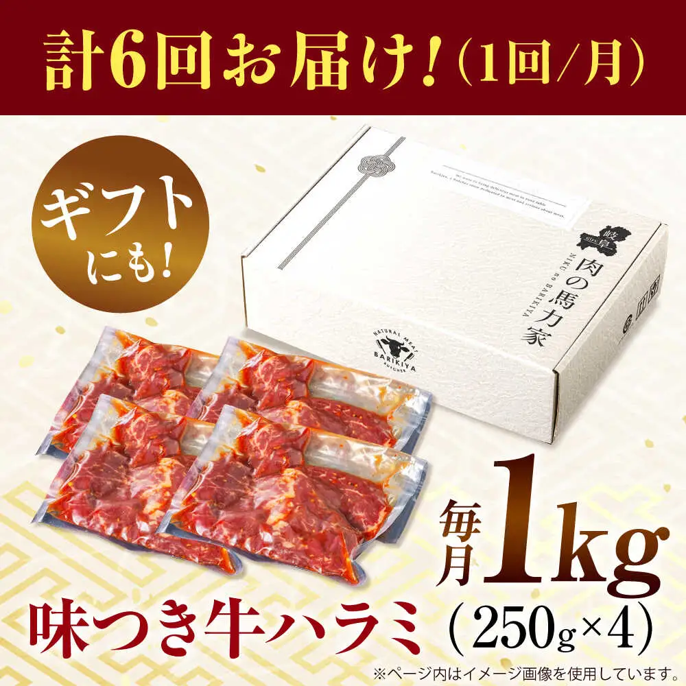 【6回定期便】【訳あり】味付けハラミ 1kg(250ｇ×4パック) [AVBO043]