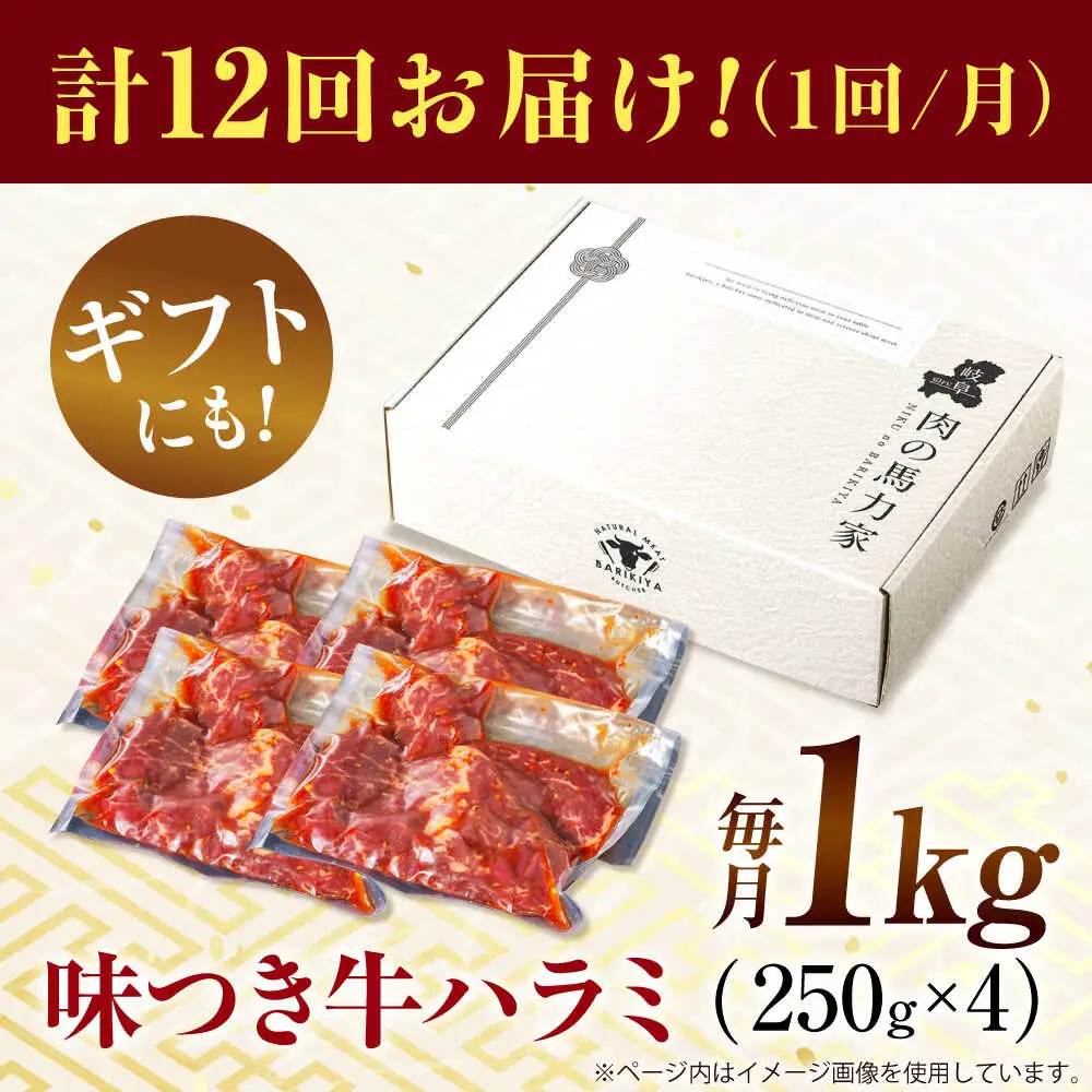 【12回定期便】【訳あり】味付けハラミ 1kg(250ｇ×4パック) [AVBO044]