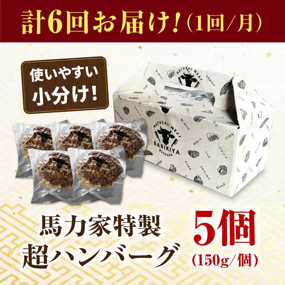 【6回定期便】超ハンバーグ ミニ 5個[AVBO067]ハンバーグ 定期便