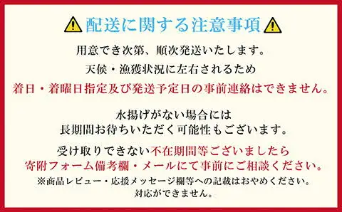 【！！先行予約！！＼12月中旬以降、順次出荷予定／】北海道産 違いが分かる天然日本海シマエビ 中サイズ 500g　色鮮やかで香りよし 濃厚な甘み 食べれば分かる格別の味！　国産　江差近海産　天然もの　エビかご漁師直送　最良品厳選　生食可　お刺身　唐揚げ　海老