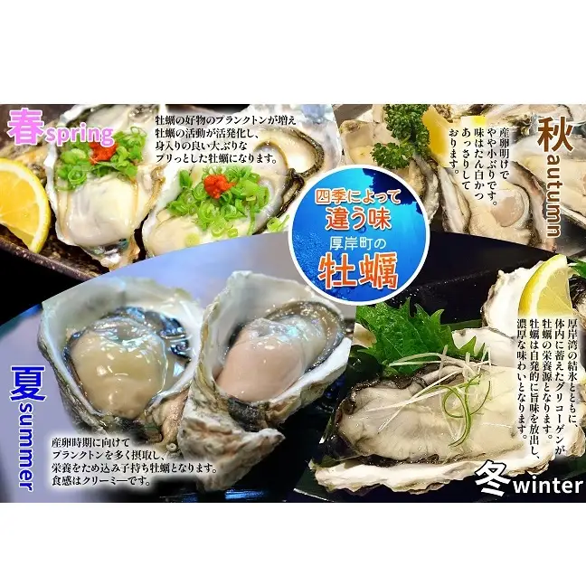【 3ヵ月 定期便 】 北海道厚岸産 生食用 殻付カキ 3Lサイズ  12個　マルえもん 魚貝類 海の幸 海のミルク 海鮮 国産 北海道産 オイスター つまみ お酒 あて 肴 生牡蠣 メルマガ掲載商品1