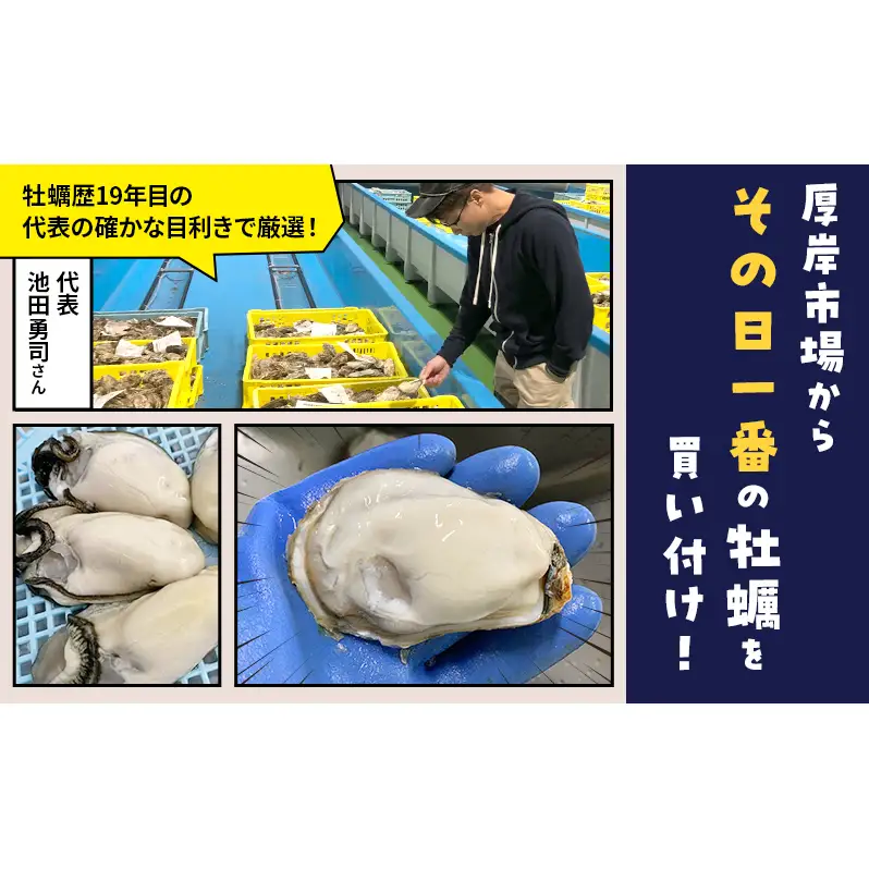 訳あり 北海道 厚岸産 生食用 むき牡蠣 400g 無水 スタンドパック「牡蠣むいちゃいました」 カキ むき身 牡蠣 マルえもん