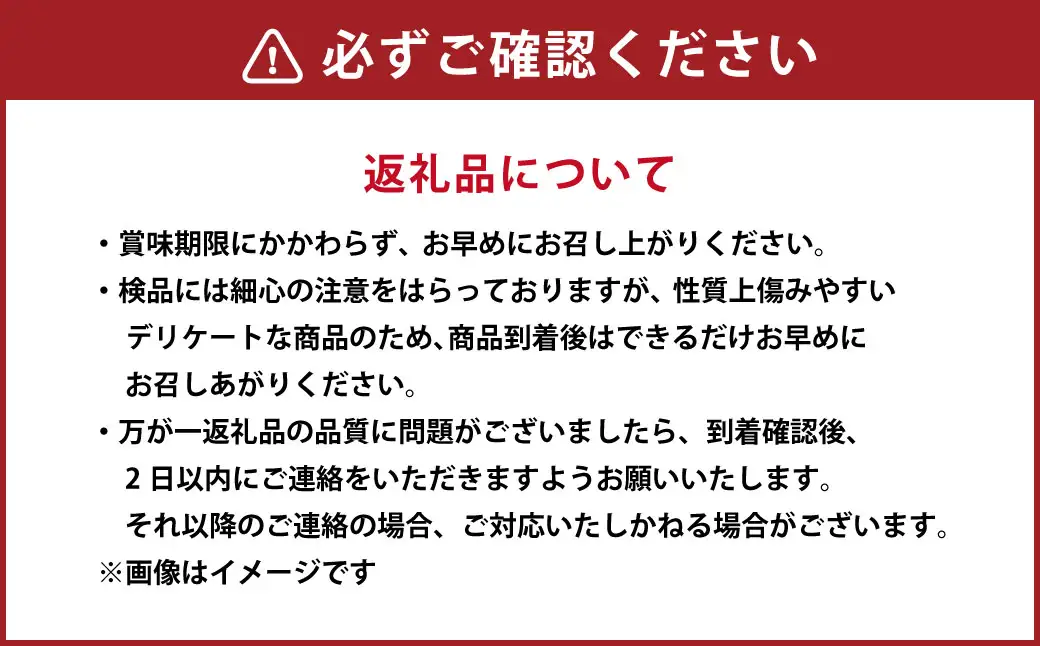 【先行受付】【数量限定】【訳あり】パール柑 約5kg 13玉前後 訳あり 訳アリ 柑橘 フルーツ 果物 果実 くだもの 九州産 熊本県 上天草市【2027年2月下旬～3月下旬順次発送】