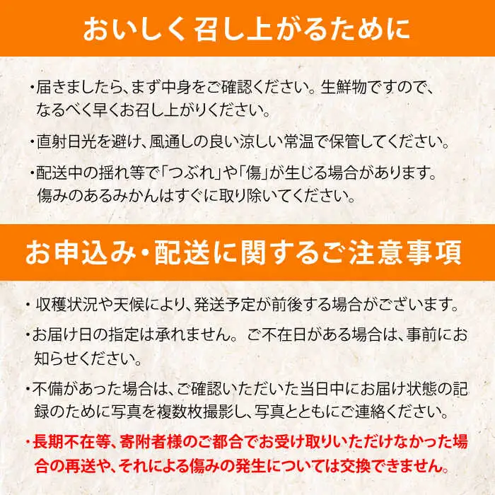 伊木力温州みかん 5kg AHBD003 みかん