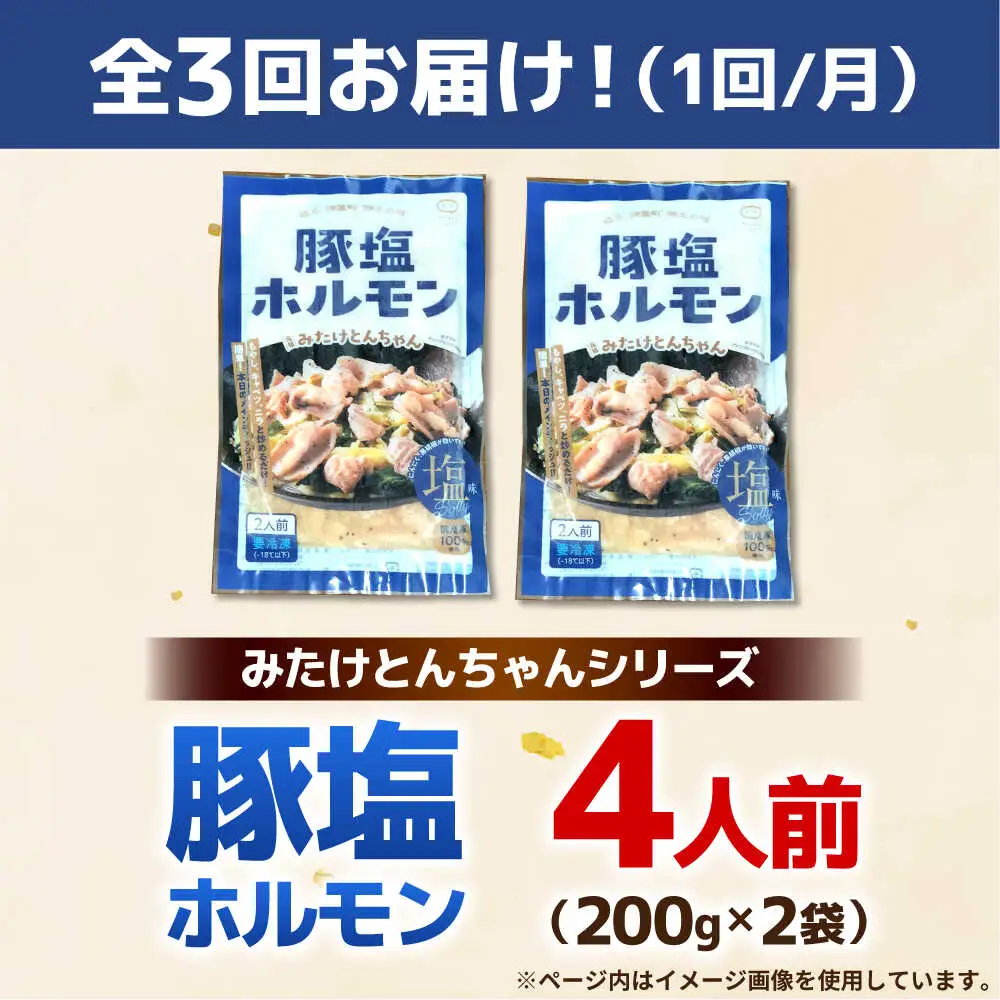 【3回定期便】岐阜県産豚もつの鉄板焼き「元祖みたけとんちゃん」豚塩味（4人前）[AVAA058]豚肉 定期