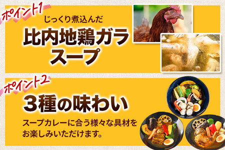 カレー 比内地鶏仕込みのスープカレー レンジパウチ 3種 食べ比べセット （鶏レッグ ・ 角煮 ・ シーフード × 各1食分）