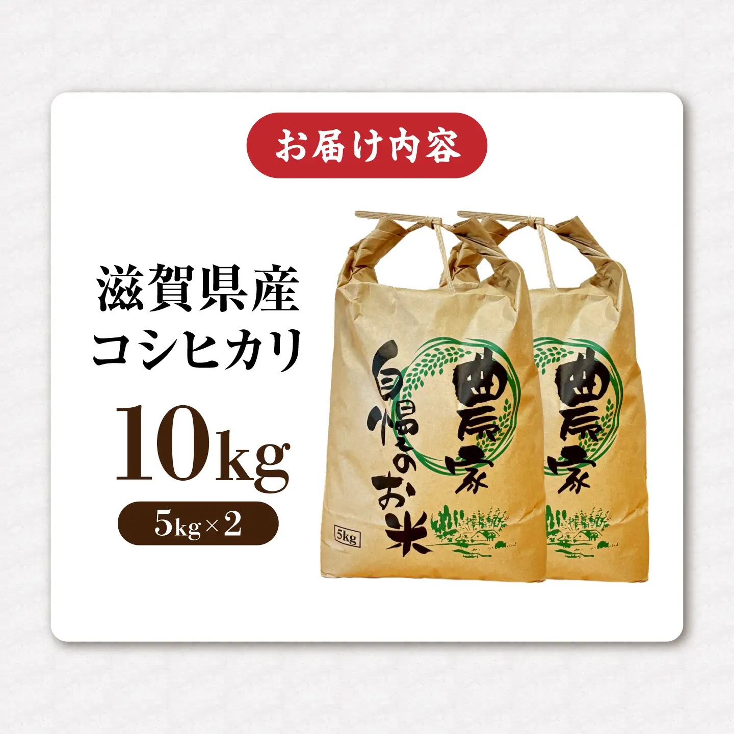 コシヒカリ 新米 白米 10kg [AQDK002] こしひかり