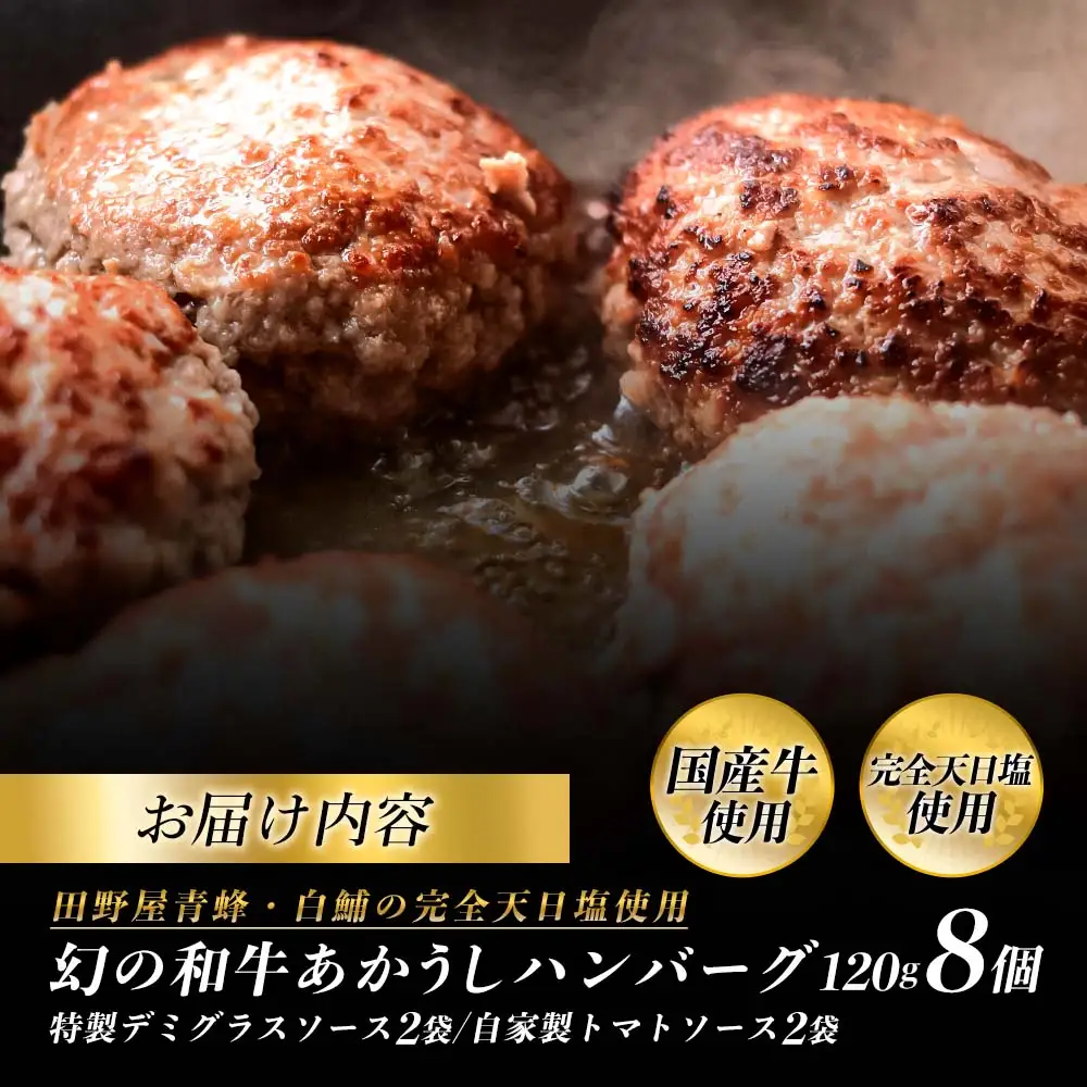 幻のあかうし和牛ハンバーグ 8個入り 1個120g 特製デミソース トマトソース付き 田野屋青蜂 白鯆 完全天日塩練り込み